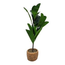 Planta Artificial Macetero De Cemento Naranjo Hojas Verdes - Fliperex