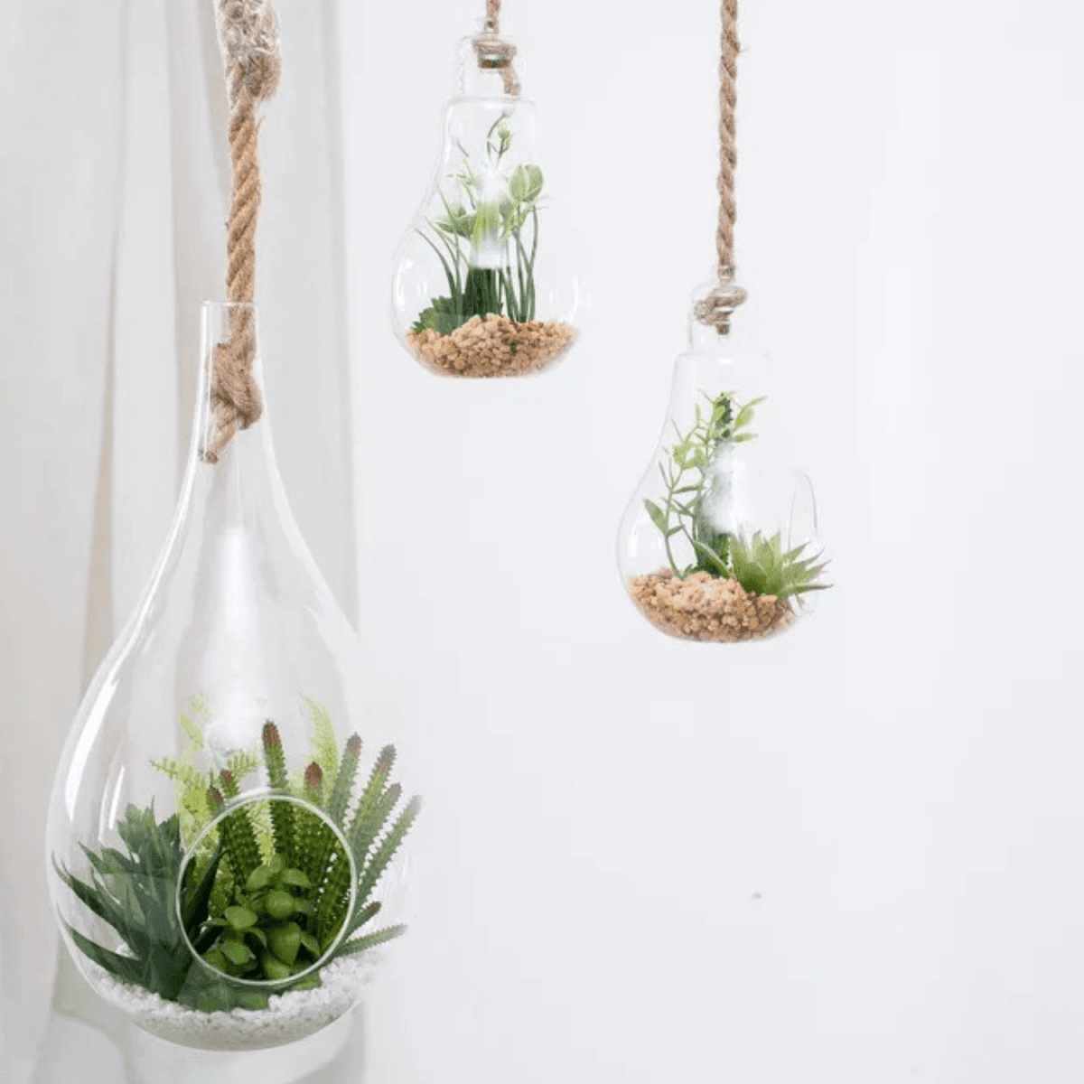 Terrario Colgante De Vidrio En Forma De Gota Para Plantas - Fliperex