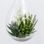 Terrario Colgante De Vidrio En Forma De Gota Para Plantas - Fliperex