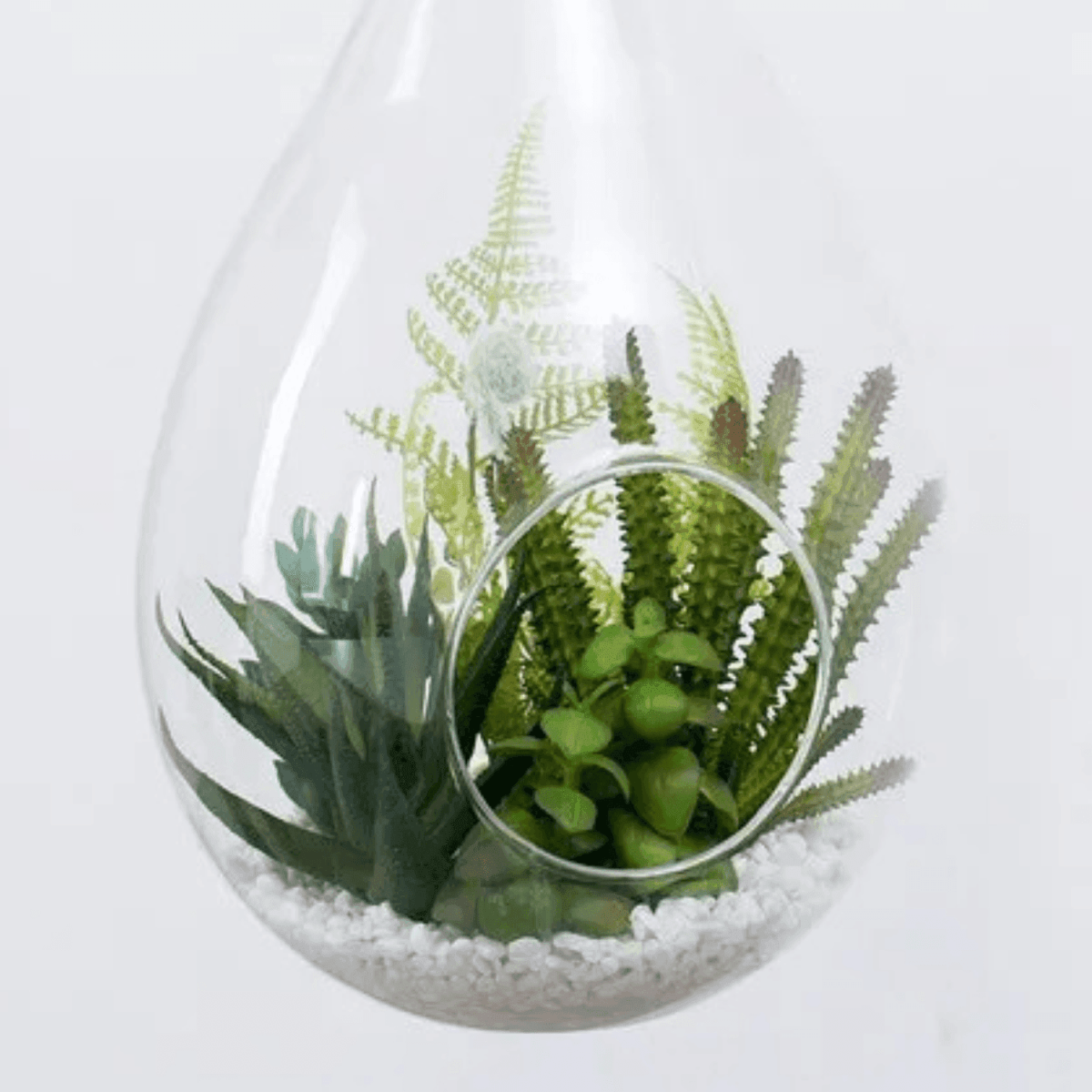 Terrario Colgante De Vidrio En Forma De Gota Para Plantas - Fliperex