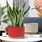 Macetero Plastico Redondo Bajo Premium Blanco Base Dorado - Fliperex