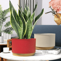 Macetero Plastico Redondo Bajo Premium Blanco Base Dorado - Fliperex