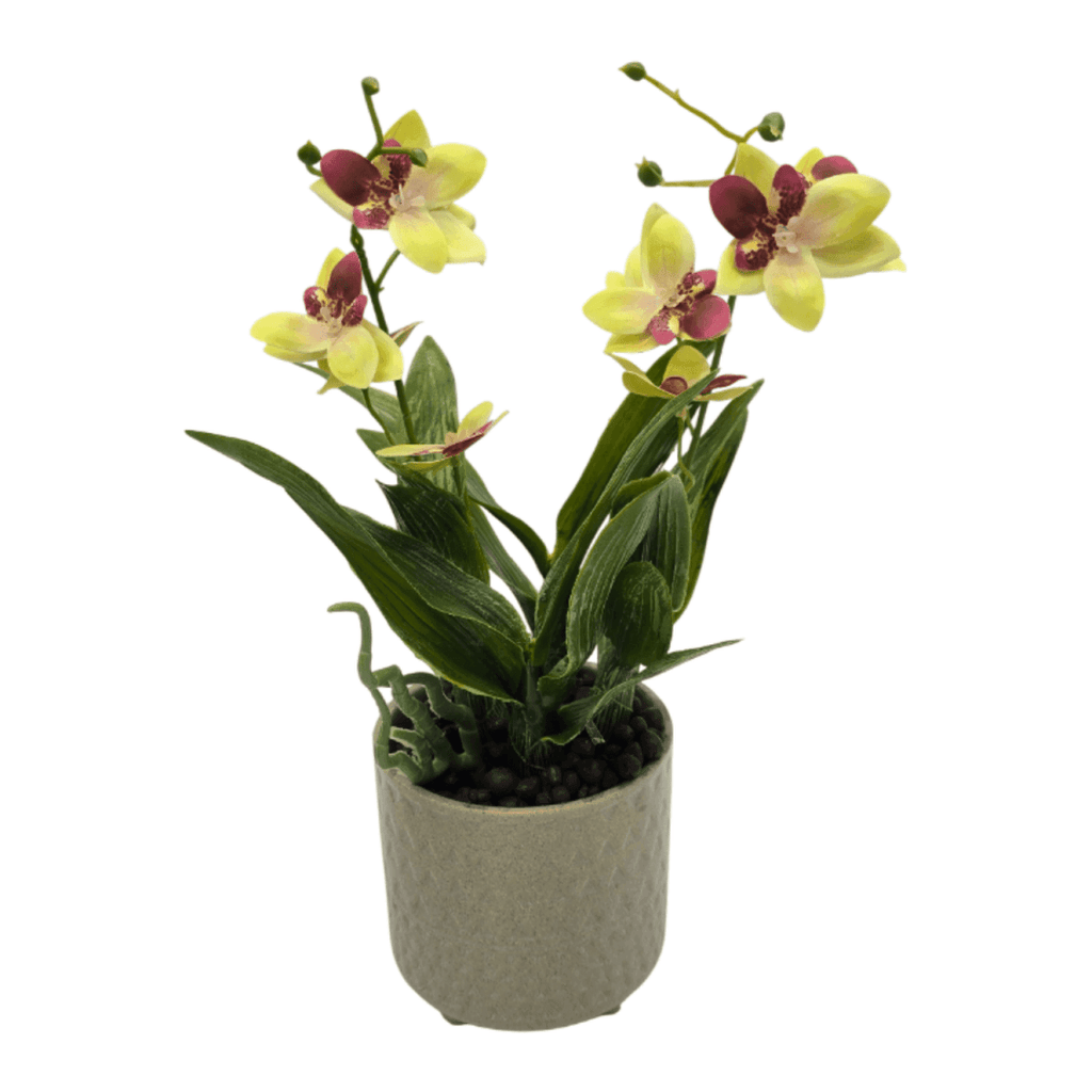 Planta Artificial Orquidea Amarillo Decorativa Macetero Loza - Fliperex